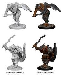 Dragonborn Fighter